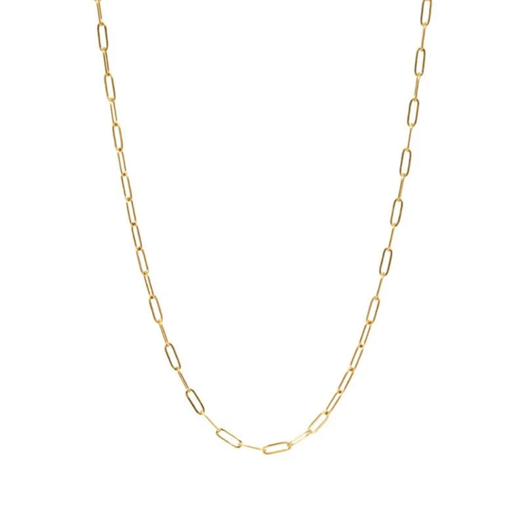 Golden Ellie Paperclip Necklace Chain