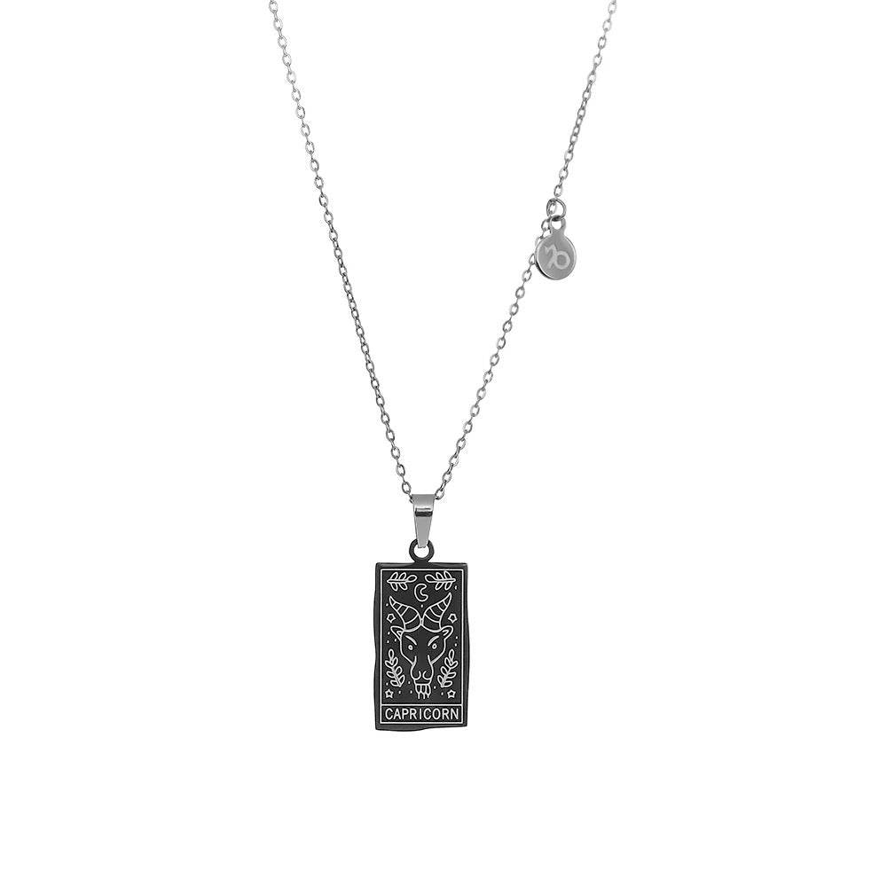 Stainless Steel Zodiac Card Chain Necklace